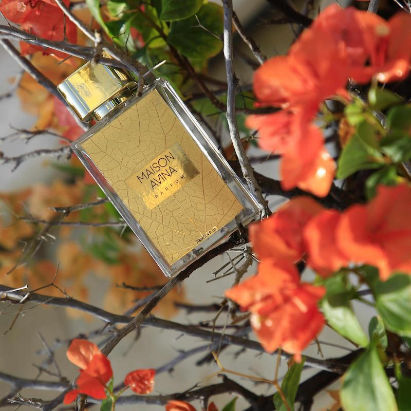 عطر زنانه ولوریس نویر