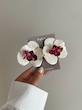 گوشواره گل عروس