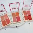 رژگونه 4 رنگ Sweet BLUSHER دودوگرل DoDo Girl