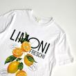 تیشرت سفید لیمو H&M