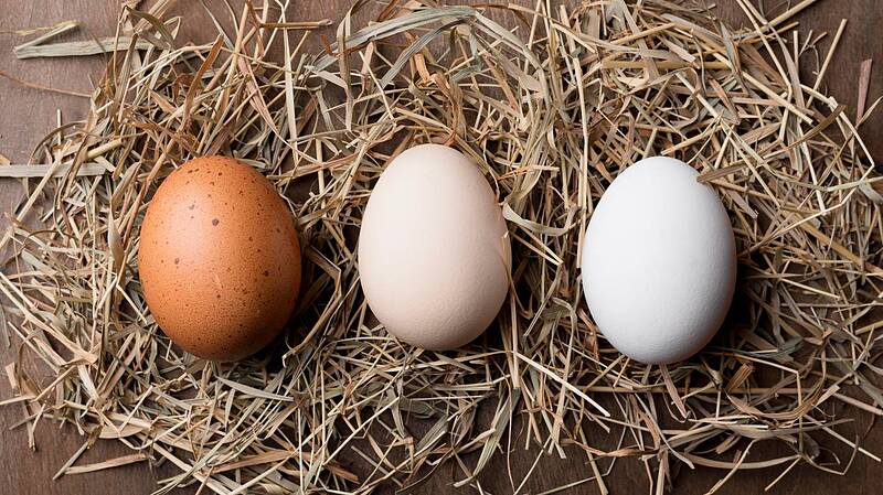 تخم مرغ آیریک (6عددی)