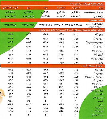 دان آماده پولت(آغازین)-(1تا3هفتگی)