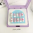 پک ناخن مصنوعی هلوکیتی و دوستان