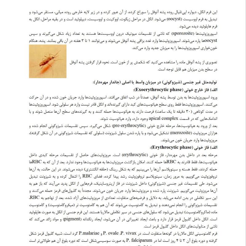جزوه انگل شناسی