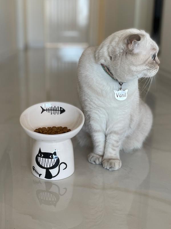 ظرف گربه کد ۱۶