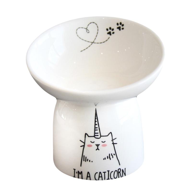 ظرف گربه کد ۱۹