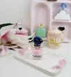 عطرادکلن مای وی شرکت برندکالکشن 25میل