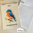 دفتر رنگ آمیزی سورپرایزی هندسی