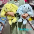  عروسک پولیشی خرگوش رنگی کد 22307.3