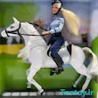باربی پلیس اسب‌سوار دفا لوسی 8420