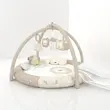 تشک بازی رزبرن لیون کابز Lion Cubs