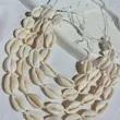 گردنبند صدف دریایی کد 102