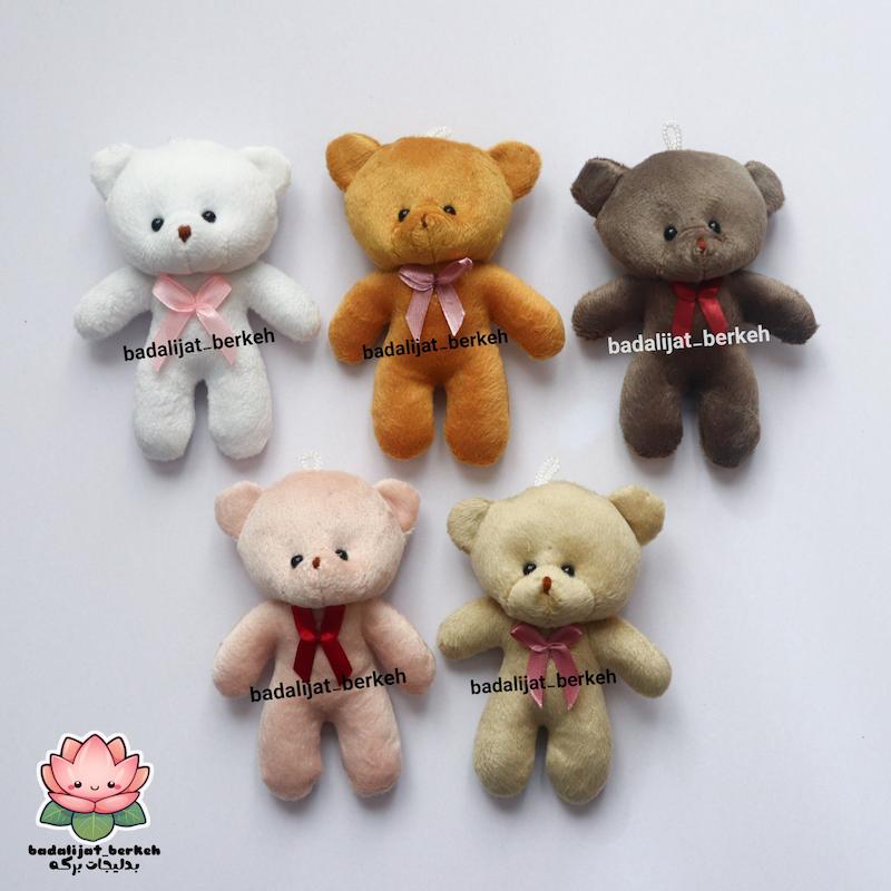 گیفت دانش آموز . گیفت تولد . گیفت مدرسه . گیفت بازگشایی مدارس ( توضیحات خوانده شود)  هدیه روز دانش آموزان . گیفت حروف کلاس اولی ها . عروسک خرس پولیشی رنگی