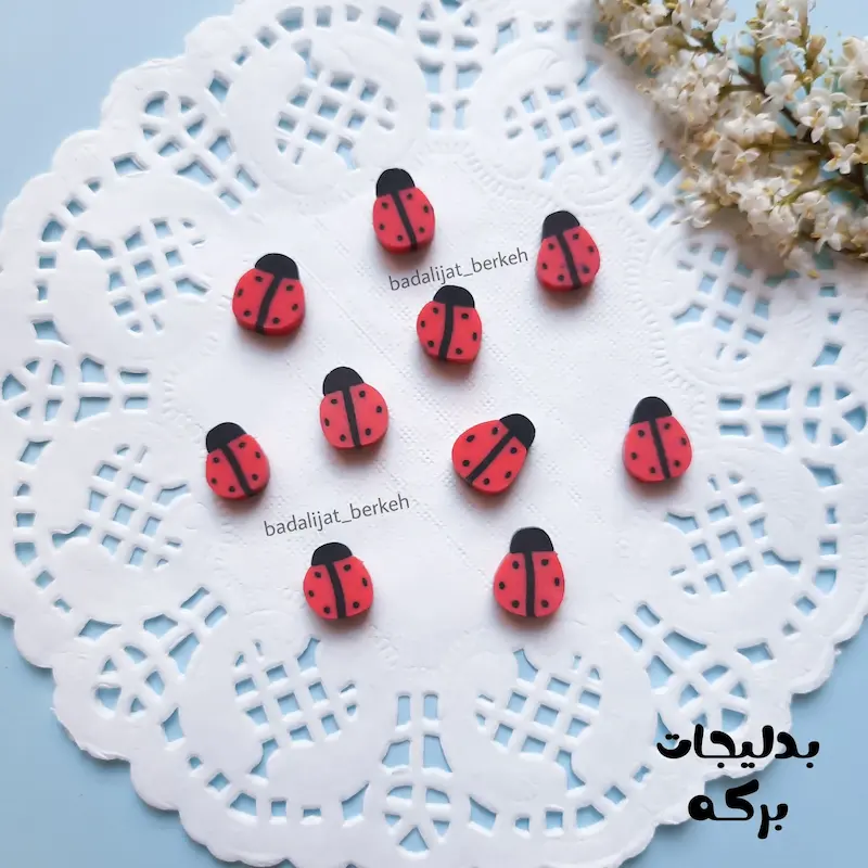 مهره فیمو طرح کفشدوزک ( 10 عددی )