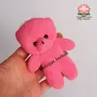 عروسک خرس پولیشی رنگی . خرس بوکت عروسکی 
