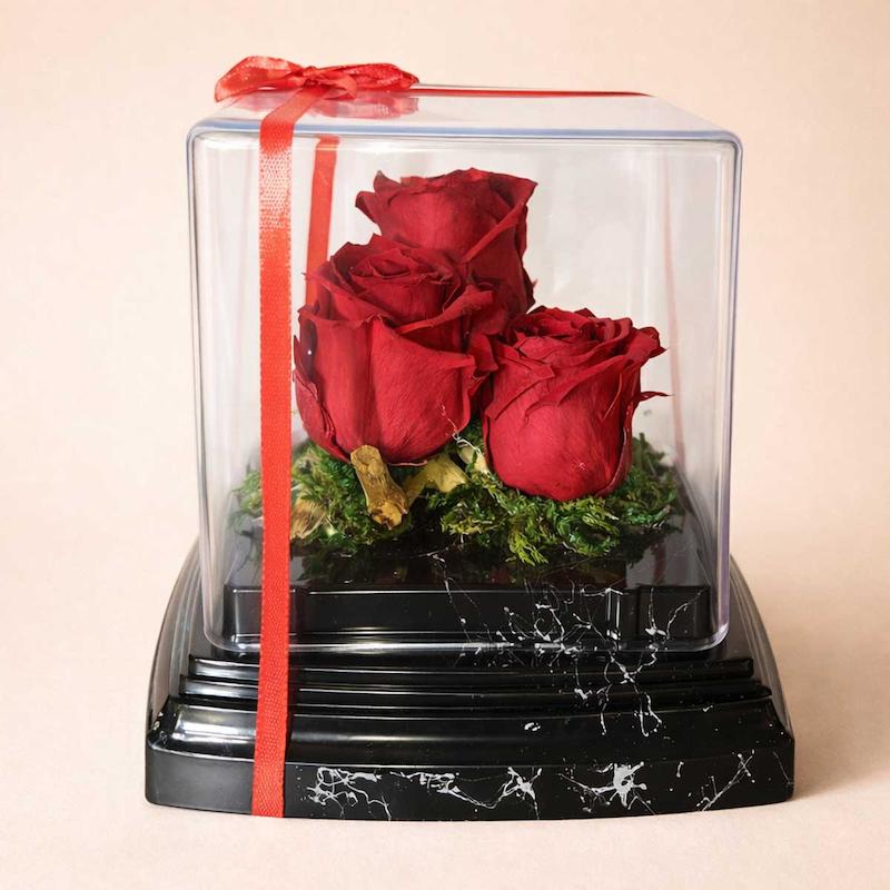 رز جاودان سه شاخه قرمز