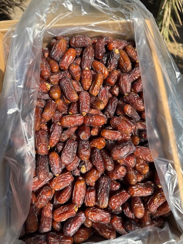 جعبه 5کیلویی خرما پیارم