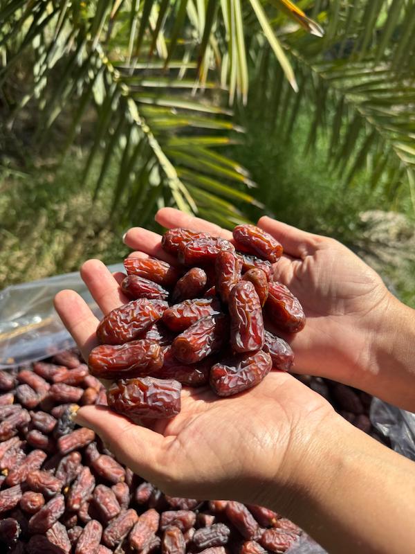 خرما پیارم سایز متوسط جعبه3کیلوگرمی