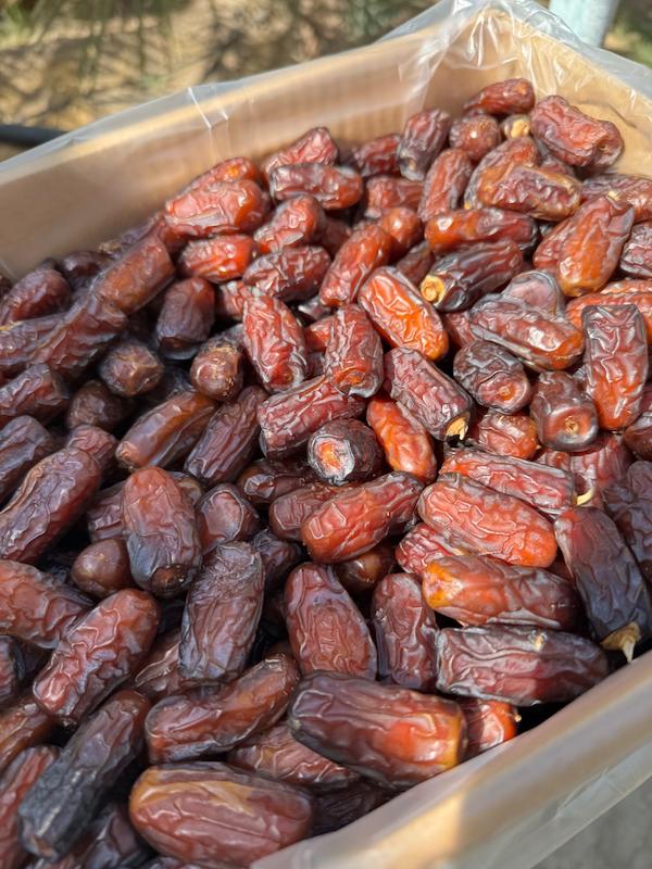 خرما پیارم صادراتی(لوکس)