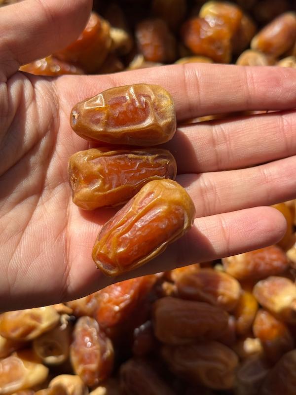 خرمای ویژه باغ