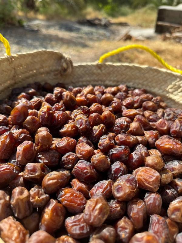 خرما خاصویی الویی درجه ۲