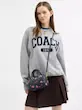 کیف کوچ آلبالویی coach فول پک