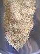 موسیر