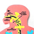 پازل آموزشی سایان مدل بدن انسان