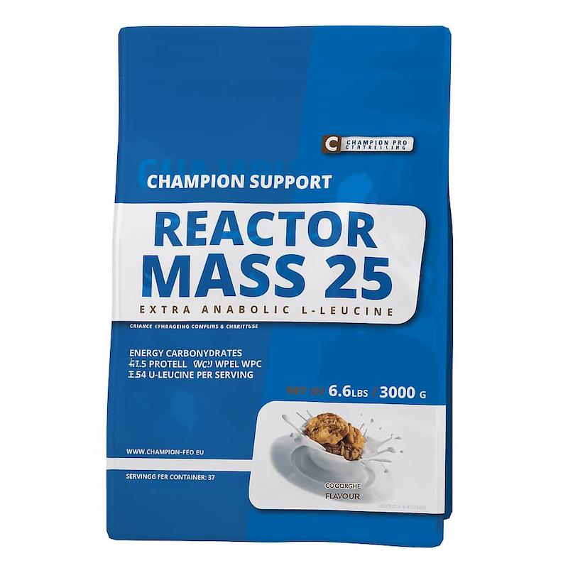 مس چمپین پرو نوتریشن 3000 گرم Champion-Pro Nutrition REACTOR MASS 25