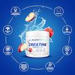 کراتین مونوهیدرات آل نوتریشن ۲۵۰ گرم All nutrition Creatine muscle max
