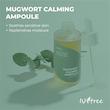 سرم ضد لک ایزنتری ISNTREE Mugwort calming ampoule