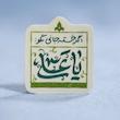 استیکر اگر خسته جانی بگو یا علی 