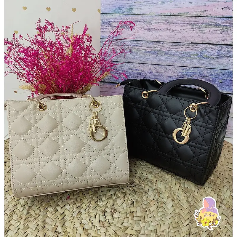 کیف Dior