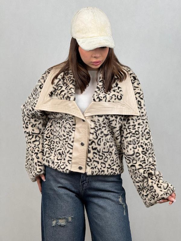 پالتو پلنگی 