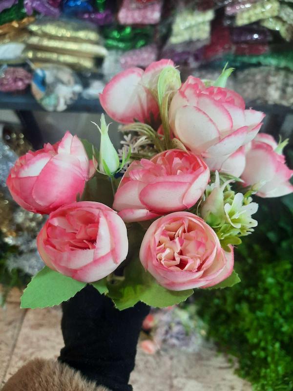 پیونی بوته ای