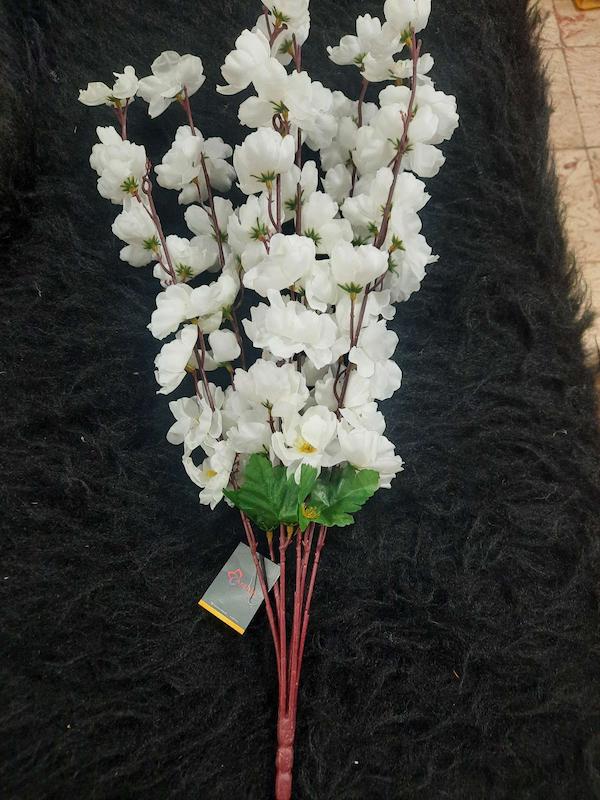 بوته شکوفه سیب