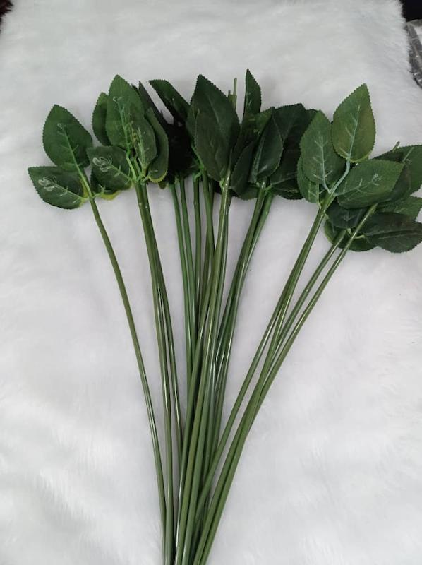 ساقه برگدار