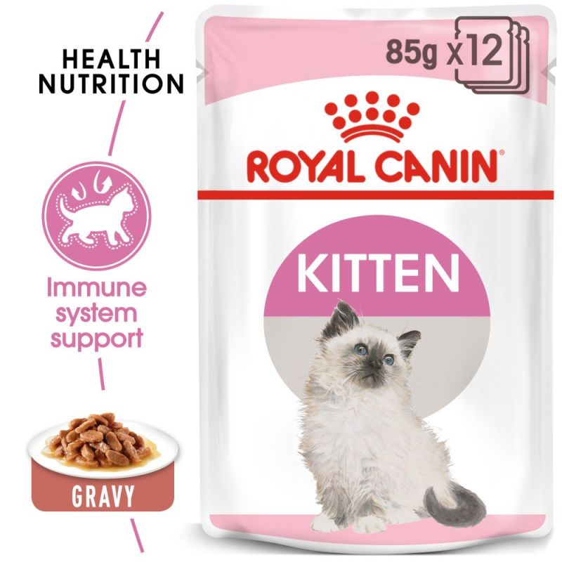 غذای پوچ گربه رویال کنین مدل کیتن Kitten حاوی سس وزن 85 گرم
