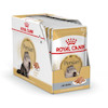 غذای پوچ گربه رویال کنین مدل پرشین Persian وزن 85 گرم