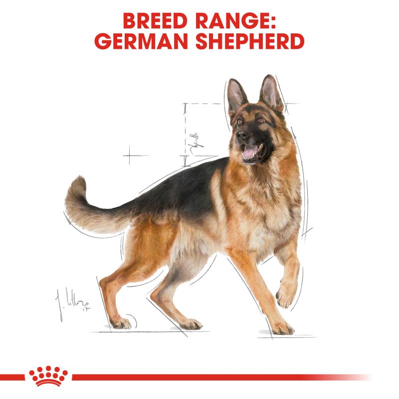 غذای خشک سگ رویال کنین مدل ژرمن شپرد German Shepherd وزن 11 کیلوگرم