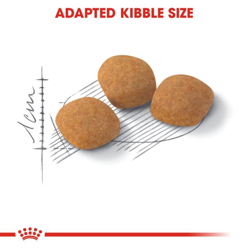 غذای خشک گربه رویال کنین مدل پروتئین اگزیجنت Royal Canin Protein Exigent وزن 2 کیلوگرم