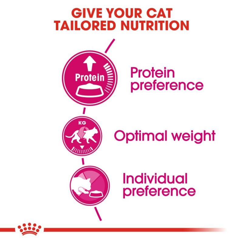 غذای خشک گربه رویال کنین مدل پروتئین اگزیجنت Royal Canin Protein Exigent وزن 2 کیلوگرم