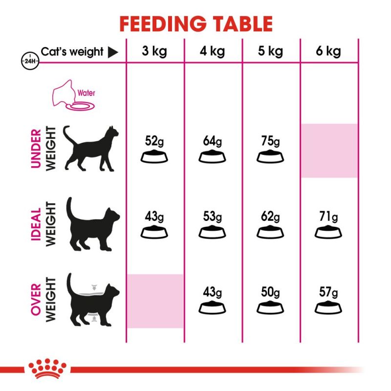 غذای خشک گربه رویال کنین مدل پروتئین اگزیجنت Royal Canin Protein Exigent وزن 2 کیلوگرم