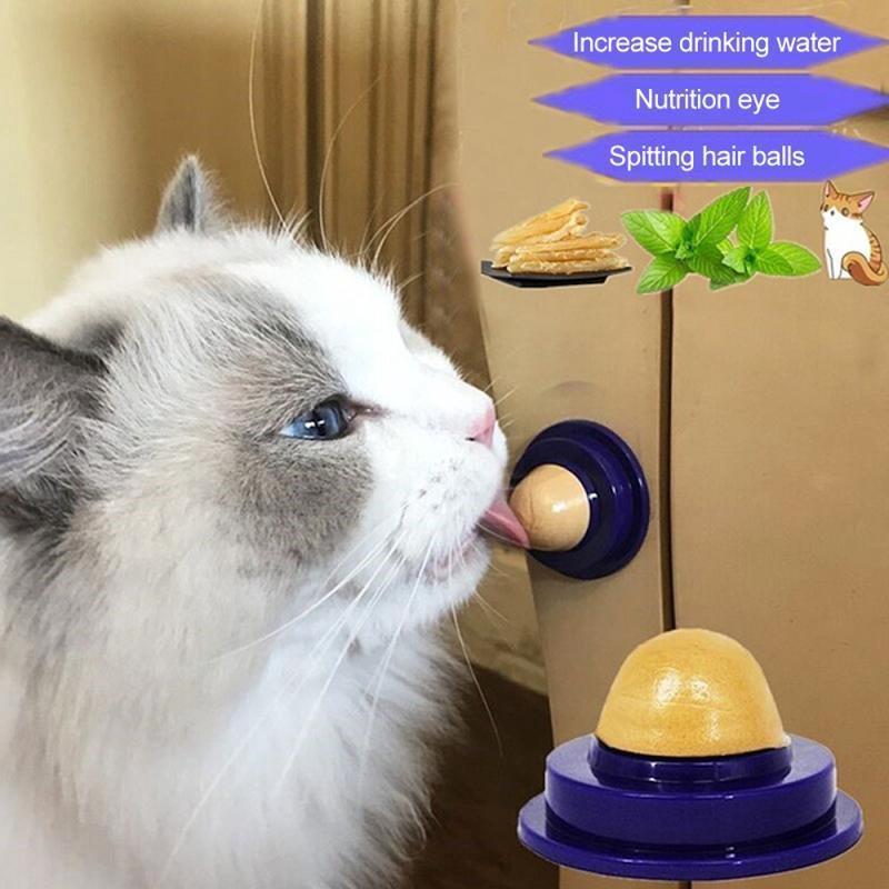 آبنبات گربه Cat Licking