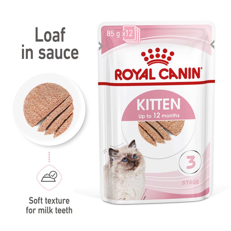 غذای پوچ گربه رویال کنین مدل کیتن Kitten بافت پته وزن 85 گرم