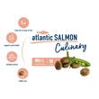 غذای خشک گربه هپی کت مدل سالمون Happy Cat Culinary Atlantic Salmon وزن 10 کیلوگرم