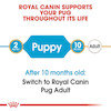 غذای خشک توله سگ رویال کنین Royal Canin مدل پاگ پاپی Pug Puppy وزن 1.5 کیلوگرم