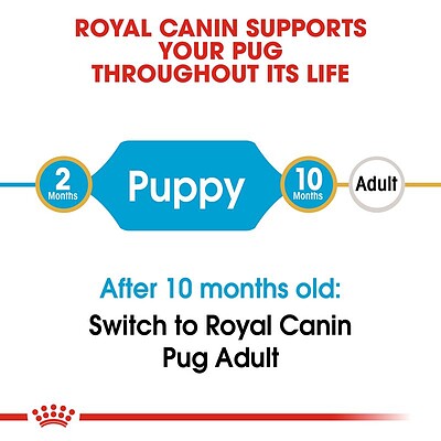 غذای خشک توله سگ رویال کنین Royal Canin مدل پاگ پاپی Pug Puppy وزن 1.5 کیلوگرم