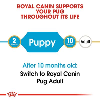غذای خشک توله سگ رویال کنین Royal Canin مدل پاگ پاپی Pug Puppy وزن 1.5 کیلوگرم