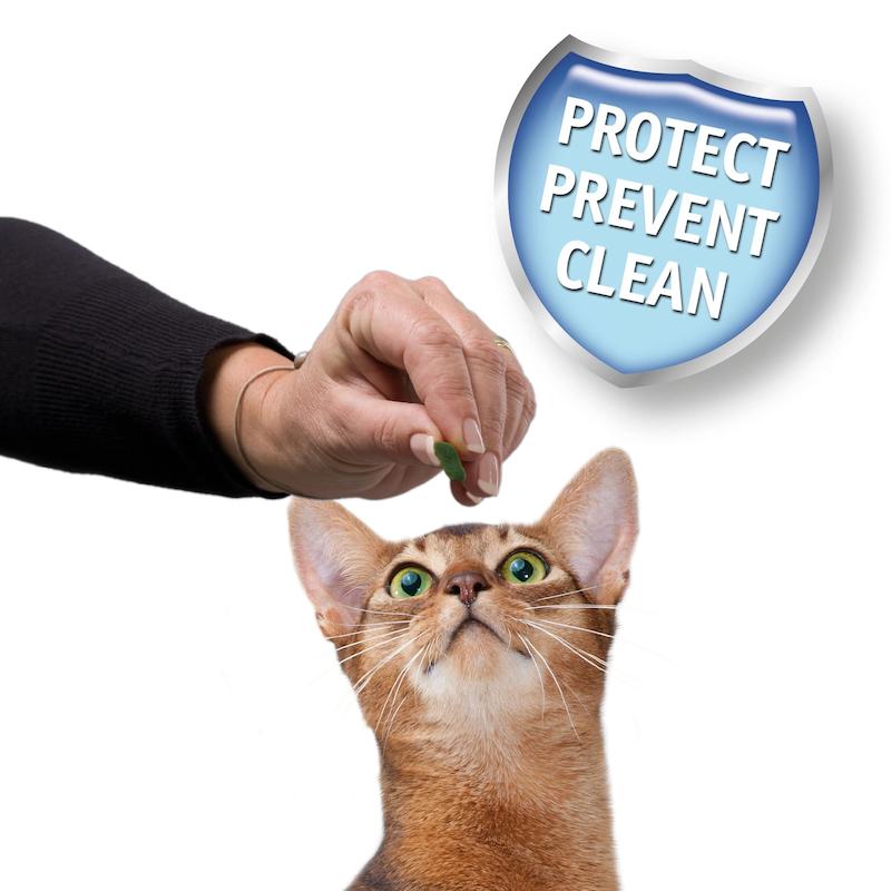 تشویقی دنتال گربه بیفار Beaphar Dental Easy Treat وزن 35 گرم